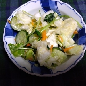 ビニール袋deギュッと季節の野菜1㎏浅漬け